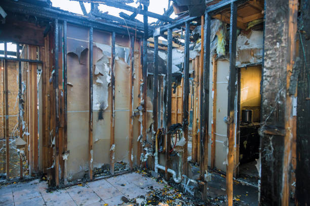 Professional Emergency Fire Cleanup technician working in Loveland, CO